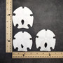 White Notched Arrowhead Sand Dollar Seashells Clypeaster subdepressus (2 sand dollars approx. 3+ inches) Arrowhead Sand Dollars for display! Copyright 2026 SeaShellSupply.com.