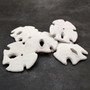 White Notched Arrowhead Sand Dollar Seashells Clypeaster subdepressus (2 sand dollars approx. 3+ inches) Arrowhead Sand Dollars for display!