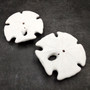 White Notched Arrowhead Sand Dollar Seashells Clypeaster subdepressus (2 sand dollars approx. 3+ inches) Arrowhead Sand Dollars for display!