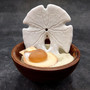White Notched Arrowhead Sand Dollar Seashells Clypeaster subdepressus (2 sand dollars approx. 3+ inches) Arrowhead Sand Dollars for display!