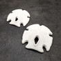 White Notched Arrowhead Sand Dollar Seashells Clypeaster subdepressus (2 sand dollars approx. 3+ inches) Arrowhead Sand Dollars for display!