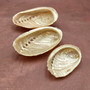 Pearlized Abalone Seashells (3 shells approx. 2+ inch) Pearlized Haliotis Asinina Mule Ear Abalone Shells for jewelry crafts & collecting!