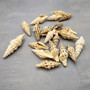 Baby Spiral Spindle Seashell White Brown Assortment (20 shells approx. 1+ inches) Small Fasciolariidae Spiral Shell Mix for arts & crafts! Copyright 2026 SeaShellSupply.com.