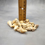 Baby Spiral Spindle Seashell White Brown Assortment (20 shells approx. 1+ inches) Small Fasciolariidae Spiral Shell Mix for arts & crafts! Copyright 2026 SeaShellSupply.com.