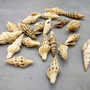 Baby Spiral Spindle Seashell White Brown Assortment (20 shells approx. 1+ inches) Small Fasciolariidae Spiral Shell Mix for arts & crafts! Copyright 2026 SeaShellSupply.com.