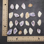 Purple Coquina Clam Seashell Assortment (Approx. half cup shells 0.5+ inches) Donax Variabilis Clam Shell Mix for jewelry art & crafts!