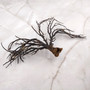 Rough Black Sea Fan Coral Dried Branches (1 fan approx. 4+ inches) Real Rugged Iciligorgia Schrammi Sea Fans for arts crafts & decor!