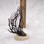 Rough Black Sea Fan Coral Dried Branches (1 fan approx. 4+ inches) Real Rugged Iciligorgia Schrammi Sea Fans for arts crafts & decor!