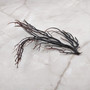 Rough Black Sea Fan Coral Dried Branches (1 fan approx. 4+ inches) Real Rugged Iciligorgia Schrammi Sea Fans for arts crafts & decor! Copyright 2026 SeaShellSupply.com.
