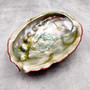 Vintage Natural Deep Red La Jolla Abalone Seashell (1 shell approx. 7.5+ inches) Crimson Haliotis Rufescens shell for display & collecting!