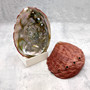 Vintage Natural Deep Red La Jolla Abalone Seashell (1 shell approx. 7.5+ inches) Crimson Haliotis Rufescens shell for display & collecting!