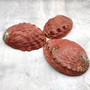 Vintage Natural Deep Red La Jolla Abalone Seashell (1 shell approx. 7.5+ inches) Crimson Haliotis Rufescens shell for display & collecting! Copyright 2026 SeaShellSupply.com.