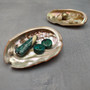 Real Red Green Abalone Seashell (1 shell approx. 2.25+ inches) Natural Haliotis Rufescens Abalone shell for collecting arts & crafts! Copyright 2026 SeaShellSupply.com.