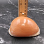 Rare Golden Cowrie Seashell (1 shell approx. 3.25+ inches) Gold Cowry Callistocypraea Aurantium Shell for display collecting & decor! 02