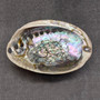 Polished Silver Green Abalone Seashell (1 shell 4.5+ inches) B GRADE Natural Haliotis Fulgens Natural Polished to reveal hidden detail! Copyright 2026 SeaShellSupply.com.