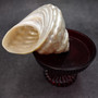 Pearlized Silver Wavy Turban Seashell (1 shell approx. 3.5+ inches) B GRADE Astraea Turbanicum Shell for coastal crafts decor & collections!
