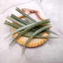Light Green Delicate Tusk Seashells (10 shells approx. 2+ inches) Rare Green Dentalium Aprinum Tusk Shells for arts crafts & beach decor!