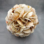 Natural Pecten Scallop Mixed Seashell Ball Round Sphere (approx. 8+ inches) Assorted Pecten Scallop Shell Ball for home accent & display! Copyright 2026 SeaShellSupply.com.