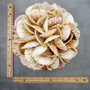 Natural Pecten Scallop Mixed Seashell Ball Round Sphere (approx. 8+ inches) Assorted Pecten Scallop Shell Ball for home accent & display! Copyright 2026 SeaShellSupply.com.