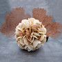 Natural Pecten Scallop Mixed Seashell Ball Round Sphere (approx. 8+ inches) Assorted Pecten Scallop Shell Ball for home accent & display! Copyright 2026 SeaShellSupply.com.