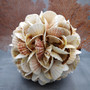 Natural Pecten Scallop Mixed Seashell Ball Round Sphere (approx. 8+ inches) Assorted Pecten Scallop Shell Ball for home accent & display!