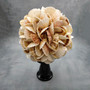 Natural Pecten Scallop Mixed Seashell Ball Round Sphere (approx. 8+ inches) Assorted Pecten Scallop Shell Ball for home accent & display!