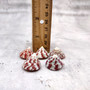 Red Striped Trochus Top Seashells (5 shells approx. 0.5+ inches) Striped Red Pink White Trochus Radiatus Shells for ocean arts & crafts!