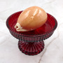 Golden Cowrie Seashell Callistocypraea aurantium (1 shell approx. 3.25+ inches) Gold Cowry Shell for display collecting & coastal decor! 03