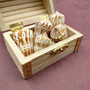 Brown Spotted Engraved Cone Seashells (6 shells approx. 1-2+ inches) B GRADE Conus Inscriptus Shells for coastal arts crafts & collecting!