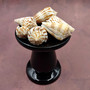 Brown Spotted Engraved Cone Seashells (6 shells approx. 1-2+ inches) B GRADE Conus Inscriptus Shells for coastal arts crafts & collecting!