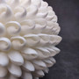 White Bubble Seashell Decorative Round Sphere (approx. 6+ inches) Haminoea Zelandiae Shell Ball for beach house table display & home decor! Copyright 2026 SeaShellSupply.com.