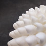 White Bubble Seashell Decorative Round Sphere (approx. 6+ inches) Haminoea Zelandiae Shell Ball for beach house table display & home decor! Copyright 2026 SeaShellSupply.com.