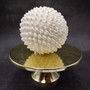 White Bubble Seashell Decorative Round Sphere (approx. 6+ inches) Haminoea Zelandiae Shell Ball for beach house table display & home decor! Copyright 2026 SeaShellSupply.com.
