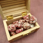 Red White Trochus Topper Seashells (5 shells approx. 0.75+ inches) Red Pink White Trochus Ferreirai Shells for crafts collecting & jewelry! Copyright 2026 SeaShellSupply.com.