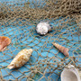 Khaki Green Mesh Decorative Fishing Net (1 net approx. 5x7 feet) Fishing Net for party decoration beach home accent & crafting! Copyright 2026 SeaShellSupply.com.
