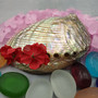 Polished Silver Green Abalone Seashell (1 shell approx. 4.5+ inches) Haliotis Fulgens Abalone Shell shell for crafts décor & collecting!