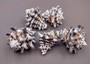 Pacific Vase/Vasum Murex Seashells (5 pcs.) - (1.5-2 inches). Black and white ribbed spiral shells. Copyright 2022 SeaShellSupply.com.