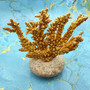 Yellow Brown Golden Bush Coral REPLICA (1 FAKE Coral approx. 7Tx7Wx2D inches) FAUX Neospongodes Coral for aquariums & fish tanks!