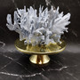 Large Blue Ridge Coral Cluster (1 coral approx. 11L x 9D x 6H inches) Blue Heliopora Coerulea Coral for coastal home decor or display! Copyright 2026 SeaShellSupply.com.