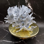Large Blue Ridge Coral Cluster (1 coral approx. 11L x 9D x 6H inches) Blue Heliopora Coerulea Coral for coastal home decor or display! Copyright 2026 SeaShellSupply.com.