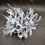 Large Blue Ridge Coral Cluster (1 coral approx. 11L x 9D x 6H inches) Blue Heliopora Coerulea Coral for coastal home decor or display!