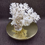 Large White Lace Coral Cluster (1 coral approx. 8L x 4H x 7D inches) White Pocillopora Damicornis Lace Coral Cluster for home display! Copyright 2026 SeaShellSupply.com.