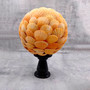 Orange Pecten Seashell Ball Round Sphere (approx. 8+ inches diameter) Orange Pecten Scallop Shell Ball for coastal home accent & display! Copyright 2026 SeaShellSupply.com.