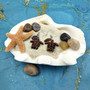 Wood Sea Turtle Brown Sea Glass Earrings (1 pair approx. 3/4+ inches) Man Made Sea Glass Brown Sea Turtle Earrings for fashion & gifts!