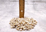 Tiny Pearl Trochus Seashells (approx. half cup 180+ shells 0.25+ inches) Distinct shells for coastal crafting décor & collections!
