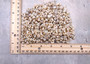 Tiny Pearlized Trochus Seashells (Approx. half cup +/-180 shells 0.25+ inches) Tiny Pearl Trochus shells for crafting jewelry & decoration! Copyright 2025 SeaShellSupply.com.