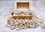 Tiny Pearlized Trochus Seashells (Approx. half cup +/-180 shells 0.25+ inches) Tiny Pearl Trochus shells for crafting jewelry & decoration! Copyright 2025 SeaShellSupply.com.