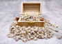 Tiny Pearlized Trochus Seashells (Approx. half cup +/-180 shells 0.25+ inches) Tiny Pearl Trochus shells for crafting jewelry & decoration! Copyright 2025 SeaShellSupply.com.