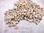 Tiny Pearlized Trochus Seashells (Approx. half cup +/-180 shells 0.25+ inches) Tiny Pearl Trochus shells for crafting jewelry & decoration! Copyright 2025 SeaShellSupply.com.