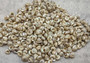 Baby Pearl Trochus Seashells (0.50 cup approx. 190-200 shells 0.25 inch). Cream shells with light stripes in a pile. Copyright 2022 SeaShellSupply.com